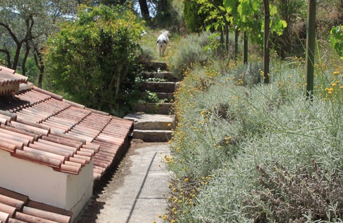 Barjols Villa | A haven of peace in Provence
