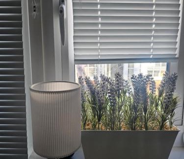 Lansbury House | A Home Away From Home