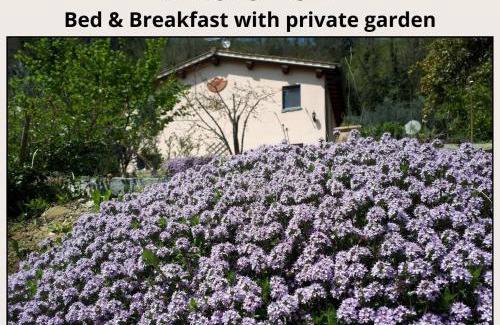 Terranuova Bracciolini Bed & Breakfast | A'Loro B&B