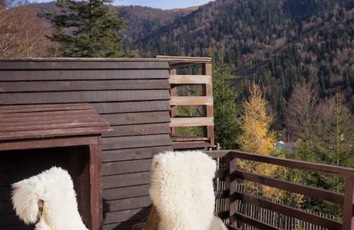 Azuga Villa | A luxury villa on the edge of Transylvania