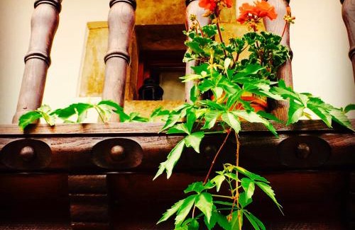 Cano House | A Pie De Picos