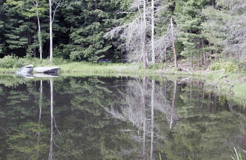 Woodstock Cabin | 'A Place in the Woods' - Cabin on Chloe's Lake on 23 acres near Woodstock, NY