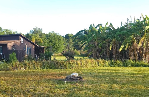 Limona Improvement Cabin | A place to be surrounded by nature within the city.