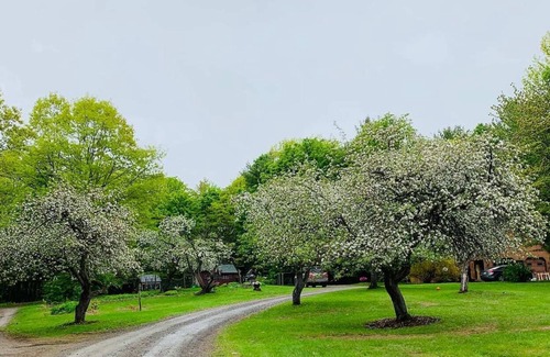 Mount Vernon House | A Place to Be Tiny Home on the Back 40 Acres Farm