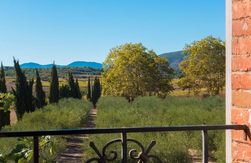 Murviel-les-Beziers Cottage | A quiet cottage with swimming pool in vineyard