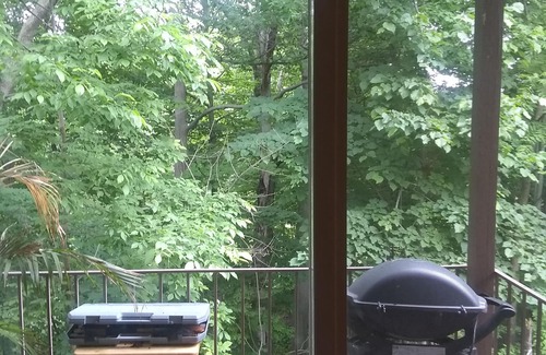 Saline Apartment | a Relax and Quiet Place, View to the Forest