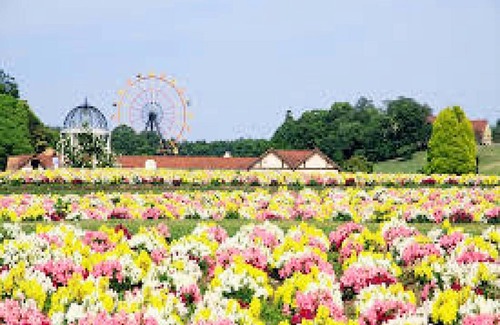 Kisarazu Hotel | A standard single nonsmoking room with a plan tha/Kisarazu Chiba