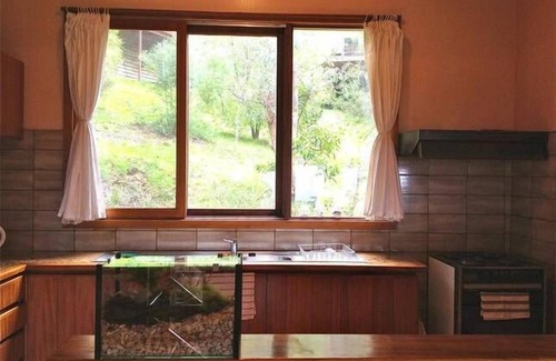 Lorne House | A Tree House by the Sea