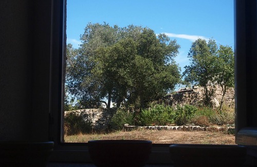 Luras Cottage | A vineyard house in the heart of Northeastern Sardinia