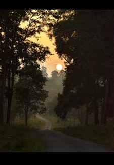 Madikeri Apartment | A2_track feel the adventure of coorg