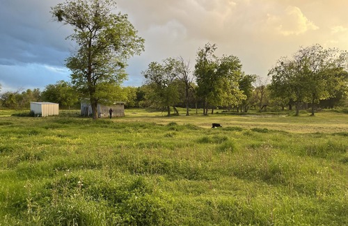 Waco RV Rental | A4 Campsite Waco, TX Eclipse