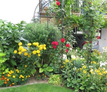 Zapfendorf Apartment | Abendstille am Obstgarten mit Terrasse