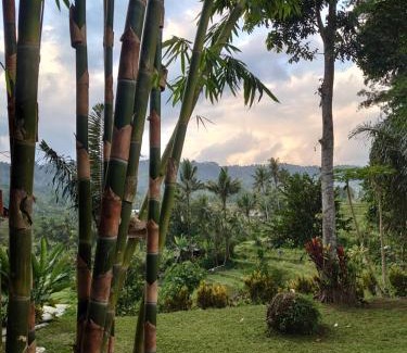 Sidemen House | Abian view house