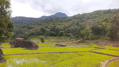 Meemure Hotel | Abimansala Resort