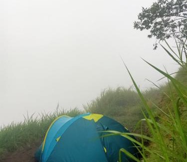 Kintamani Other | Above the Clouds Camp