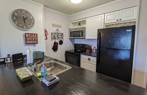 Snowshoe Condo | AC! 1BR Slopeside Condo SLEEPS 4