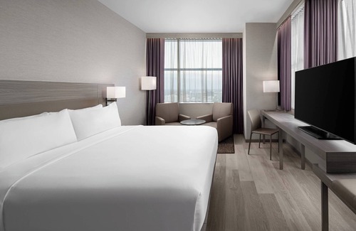 Downtown Orlando Hotel | AC Hotel by Marriott Orlando Downtown