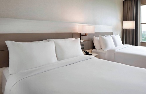 Gainesville Hotel | AC Hotel by Marriott Gainesville Downtown