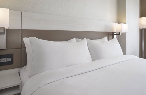Gainesville Hotel | AC Hotel by Marriott Gainesville Downtown