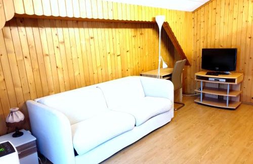 Grono Apartment | Accogliente mansarda