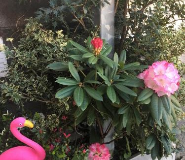 Miyazaki Bed & Breakfast | Accommodation Service B&B