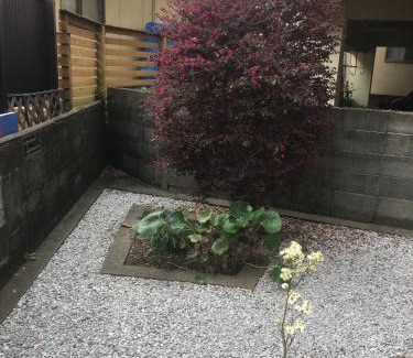 Miyazaki Bed & Breakfast | Accommodation Service B&B