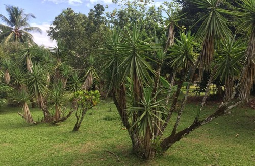 Cahuita House | Accommodation Zimbabwe