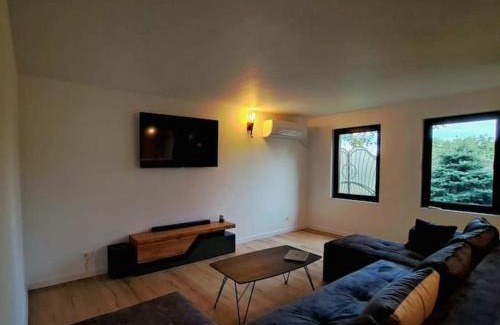 Racaciuni Villa | Ach Residence