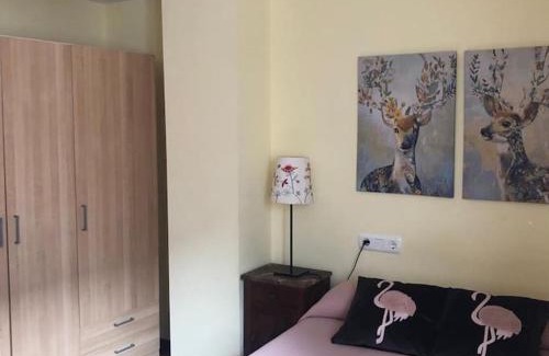 Nueva Apartment | Acogedor Apartamento en el Centro de Nueva