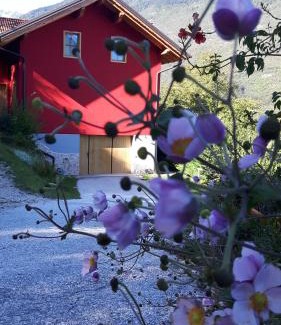 Spormaggiore Bed & Breakfast | Activity Appartamento Vacanze