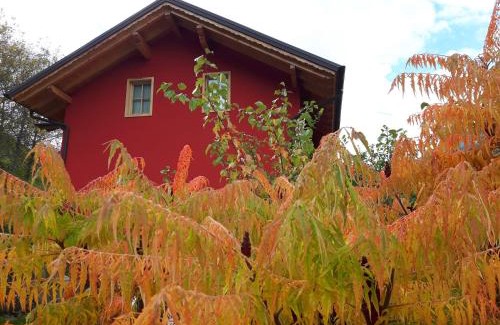 Spormaggiore Bed & Breakfast | Activity Appartamento Vacanze