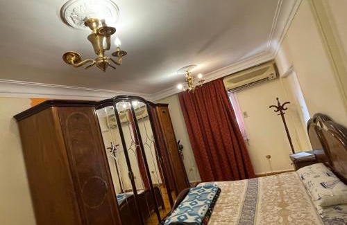 Nasr City Apartment | Adam McDonald's Abbas Al Akkad View Garden