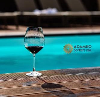 Villany Bed & Breakfast | Adamkó Borkert Ház
