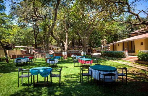 Matheran Resort | Adamo The Village