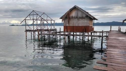 Arborek House | Adefiro homestay