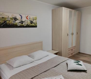 Druskininkai Apartment | Adelės apartamentai
