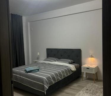 Craiova Apartment | Adela Luxury House