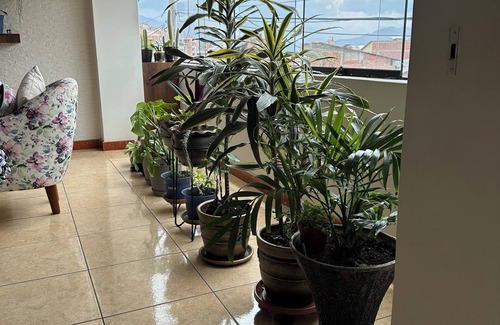 Cusco Historic Center Apartment | Adela's Home/day/months (Room in shared apartment)