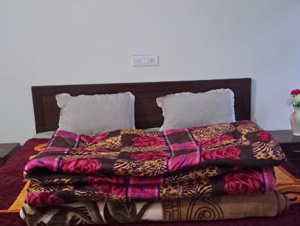 Keylong House | Aditya Homestay