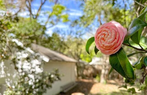 Gainesville House | Adorable 1920s home near UF stadium sleeps 10