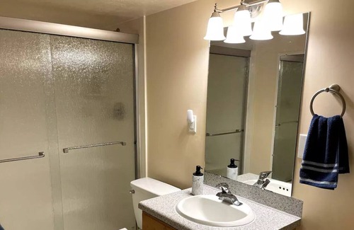 Layton Apartment | Adorable 2-bedroom basement with indoor fireplace