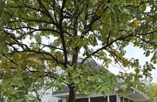 Kokomo House | Adorable Dutch Colonial Home