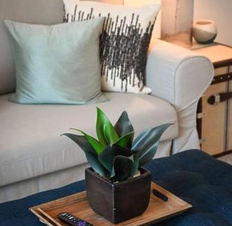 Mount Adams Apartment | Adorable MtAdams 2BR near it all