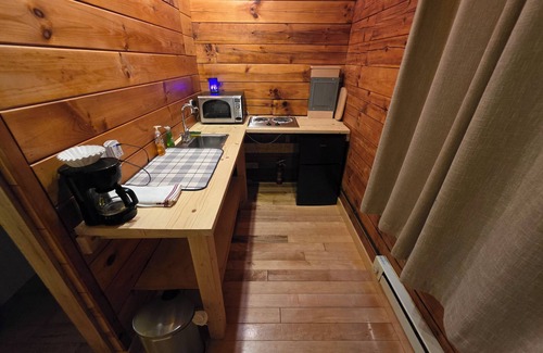 Waterloo Cabin | Adorable rustic cabin with glamping charm in Waterloo!