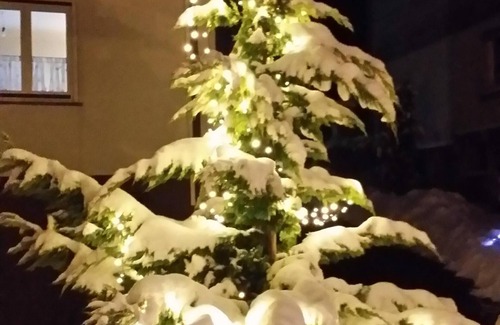Rothenberg Apartment | Advent and Christmas meeting in the Odenwald