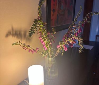 Maia Apartment | aerOPOrto Guesthouse