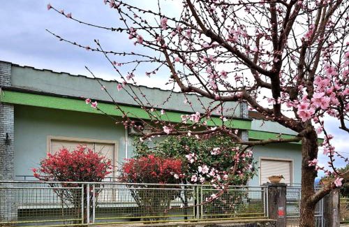 Castelvecchio Pascoli House | Affittacamere La Foresta di Sopra