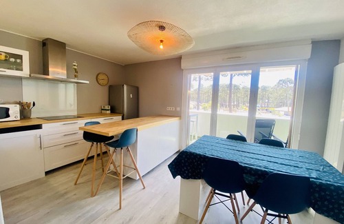 Biscarrosse Plage Apartment | Agréable Appartement en duplex pour une famille (197)