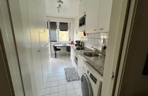 Versoix Apartment | Agréable appartement près du lac