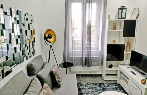 Clermont-Ferrand Apartment | Agréable et moderne 2 pièces ~ confort et design